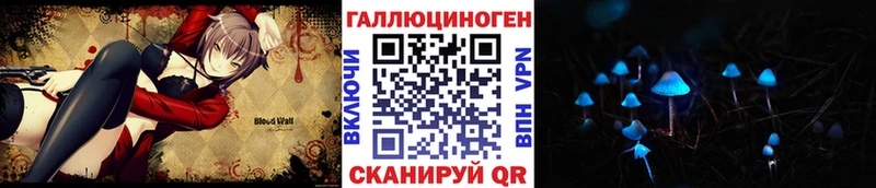 закладки  Западная Двина  Псилоцибиновые грибы GOLDEN TEACHER 