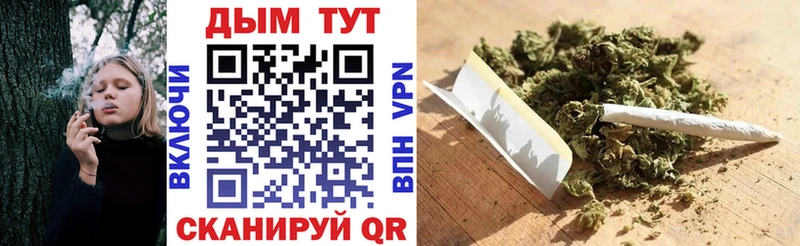 Шишки марихуана AK-47  где купить наркоту  Западная Двина 